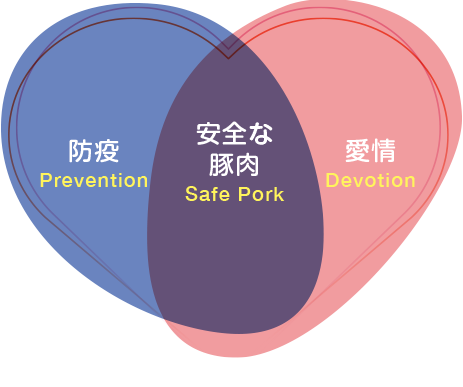 愛情と防疫で安心・安全な豚肉が生産されています