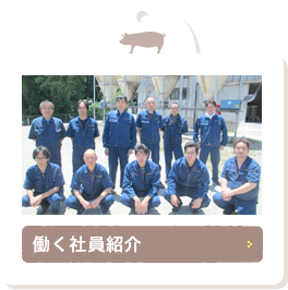 働く社員紹介